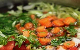 Диета Боннский суп для похудения — рецепт и отзывы